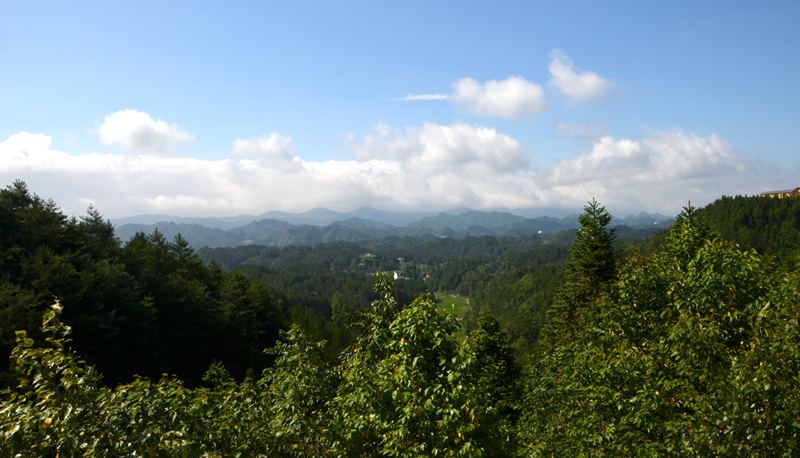 dsc_0317_����.jpg