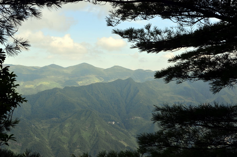 dsc_0353a.jpg