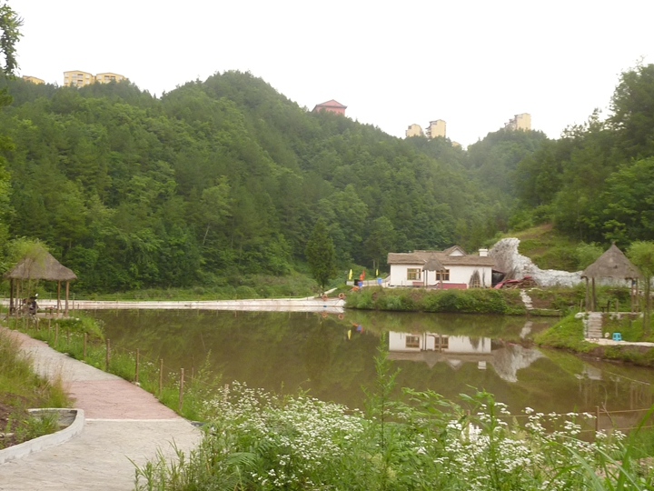 p1410063.jpg