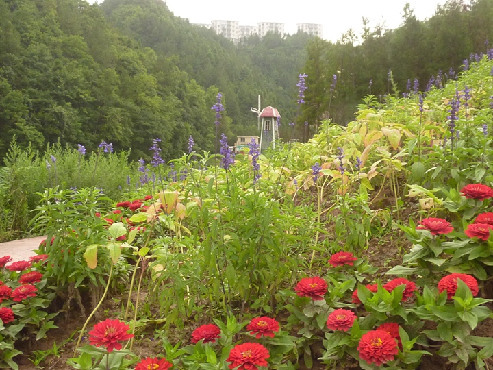 p1410054.jpg
