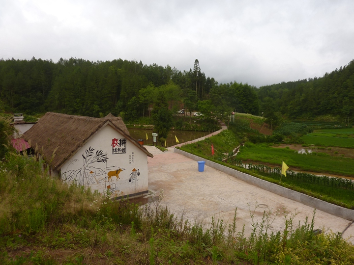 p1410052.jpg