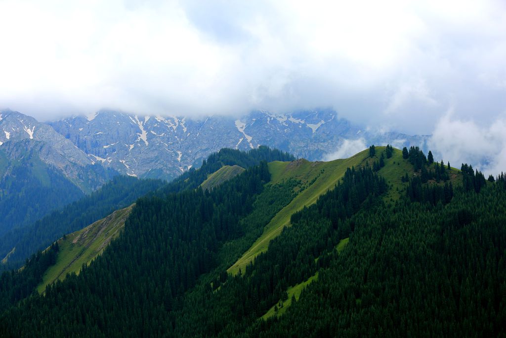 083a2126.jpg