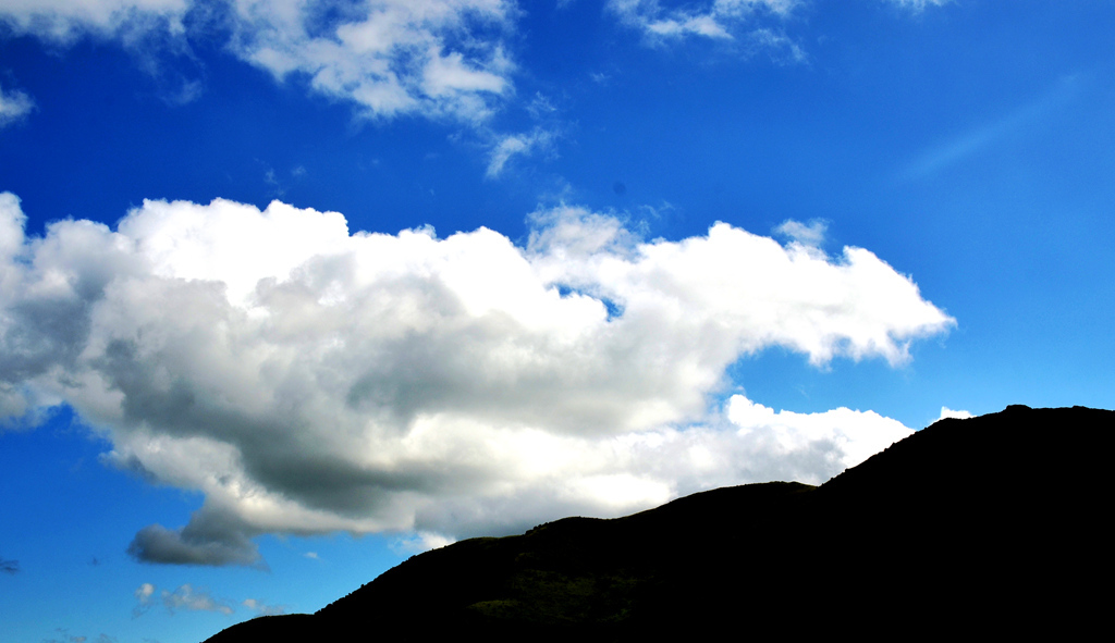 dsc_9040.jpg