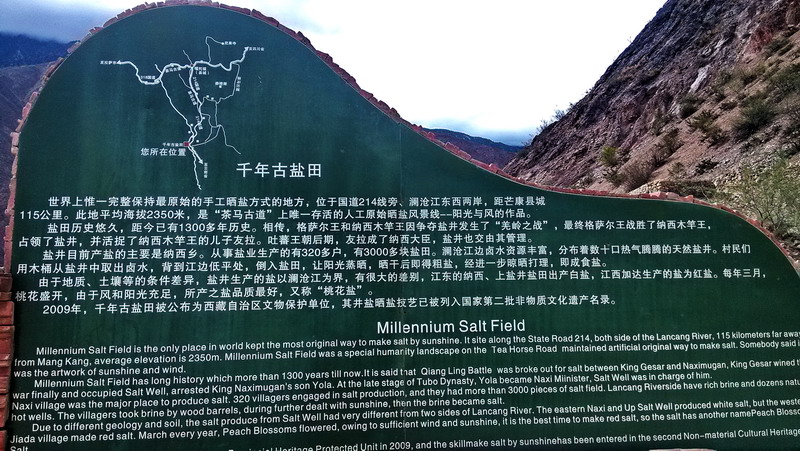 img_20150806_164629.jpg