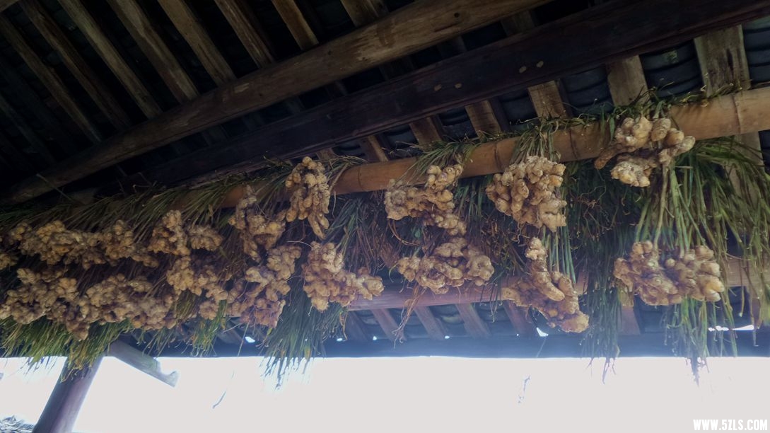 20151227_111918_����.jpg