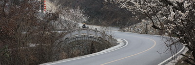 049A1990_������С.jpg