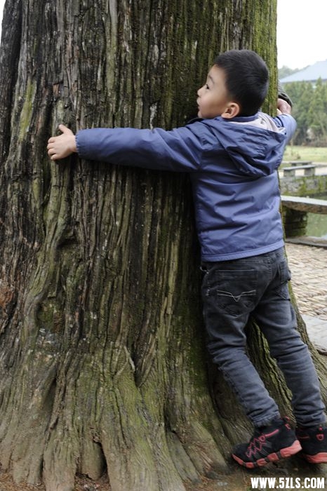 _DSC4068_����.jpg
