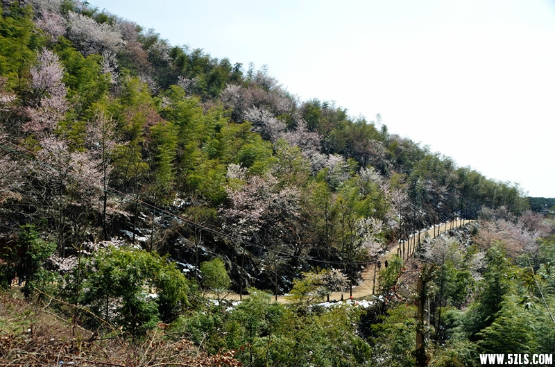 DSC_8087_����_����.jpg