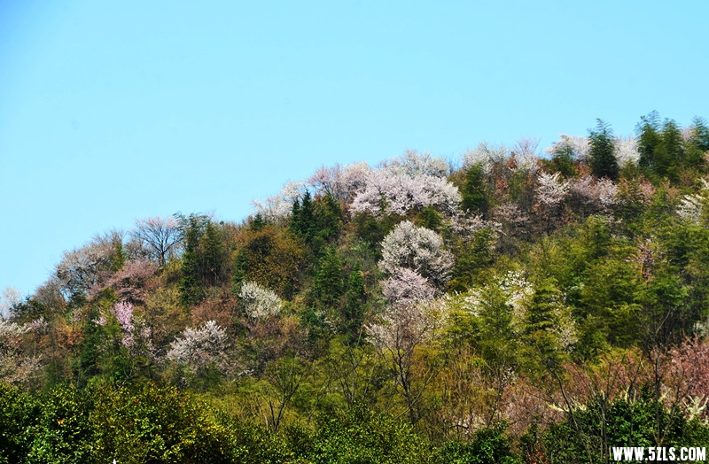 DSC_8140_����_����.jpg