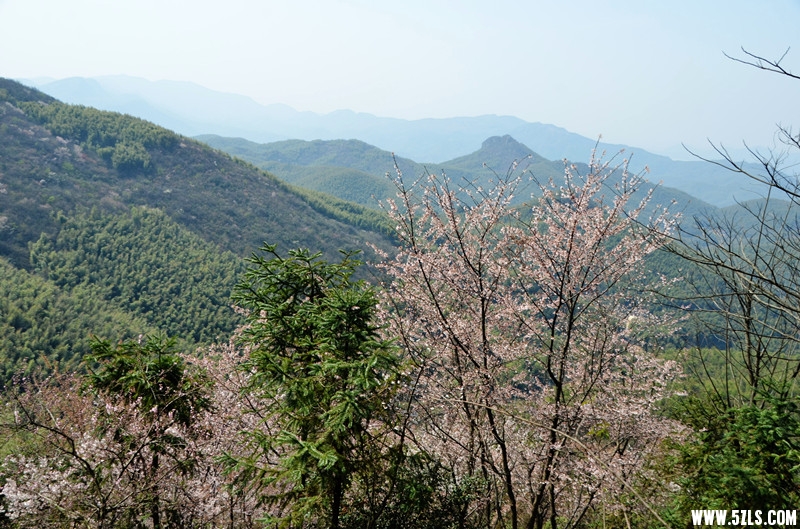 DSC_8085_����_����.jpg