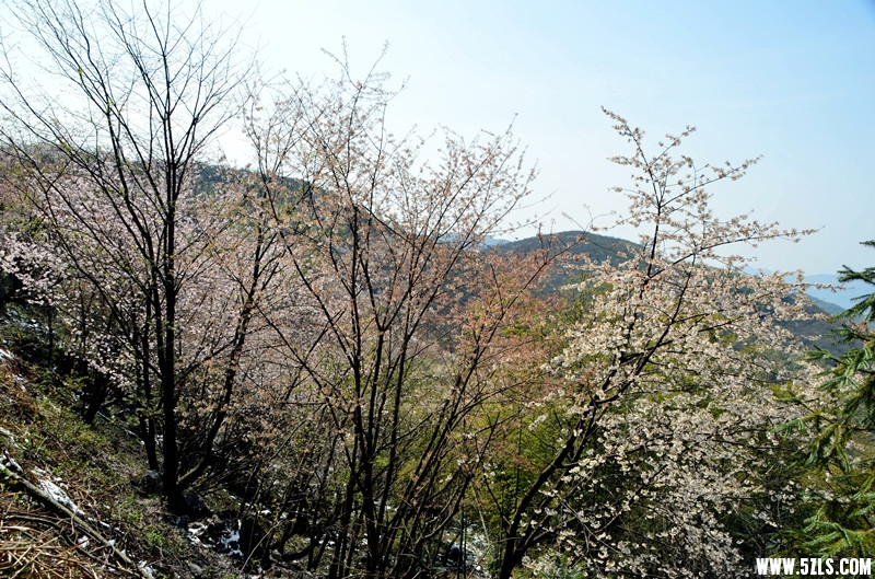 DSC_8095_����_����.jpg
