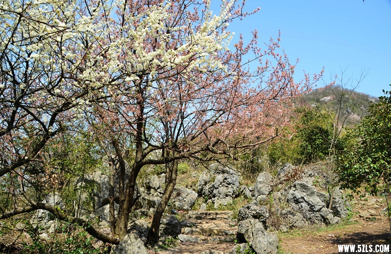 DSC_8170_����_����.jpg