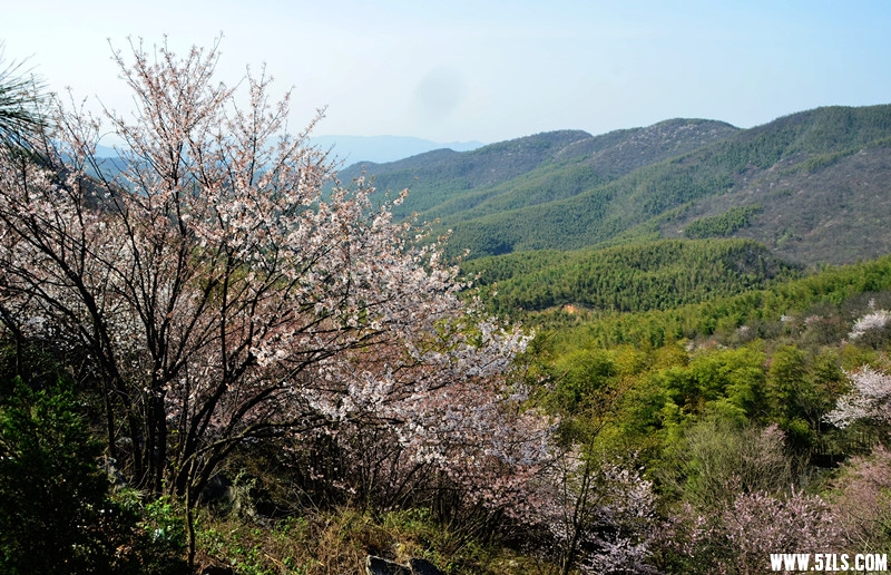 DSC_8360_����_����.jpg