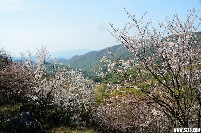 DSC_8363_����_����.jpg
