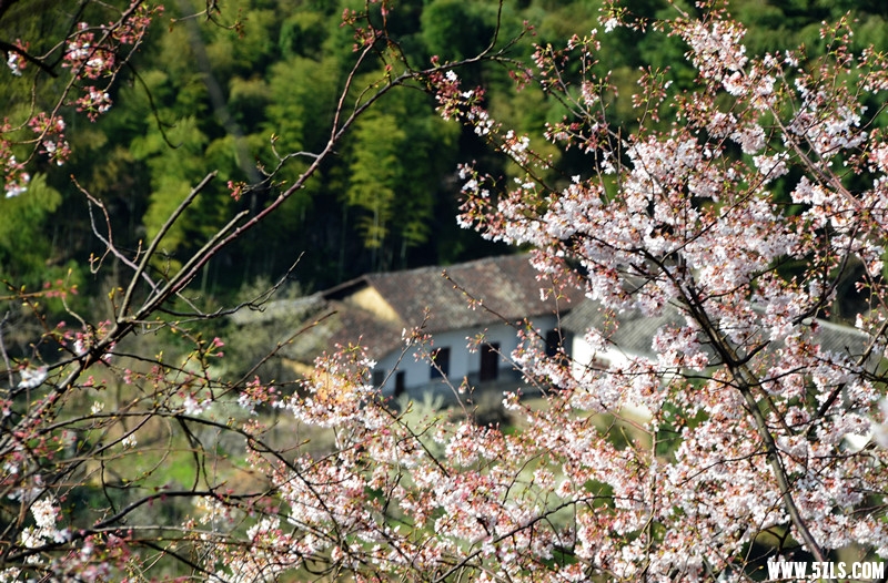 DSC_8405_����_����.jpg