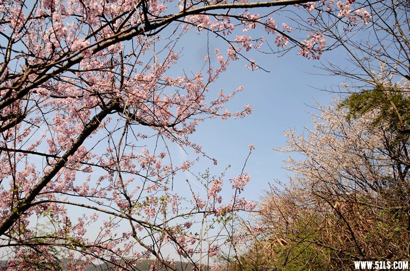 DSC_8236_����_����.jpg