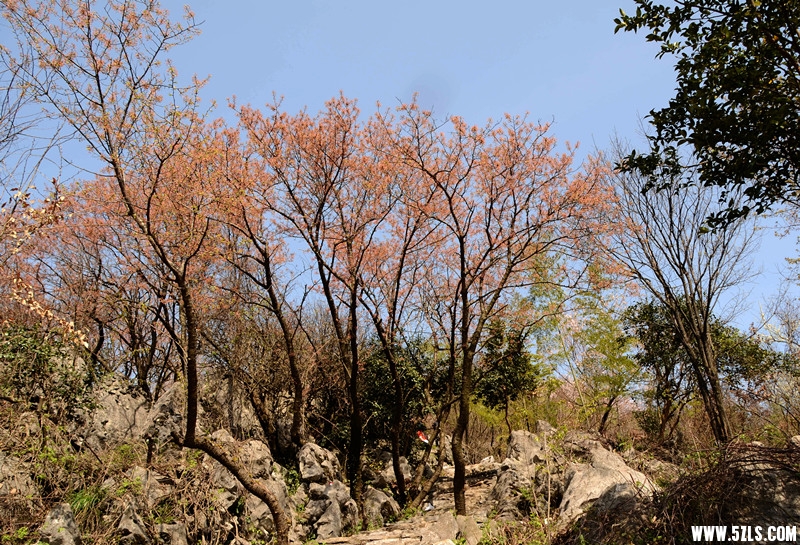 DSC_8267_����_����.jpg