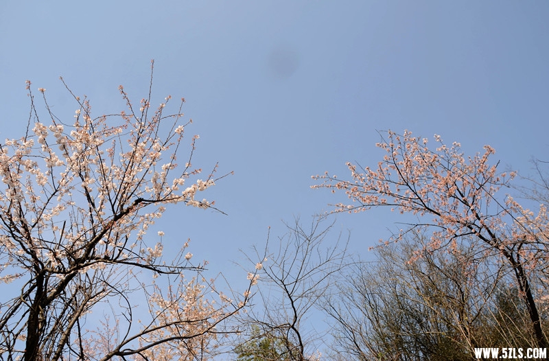 DSC_8285_����_����.jpg