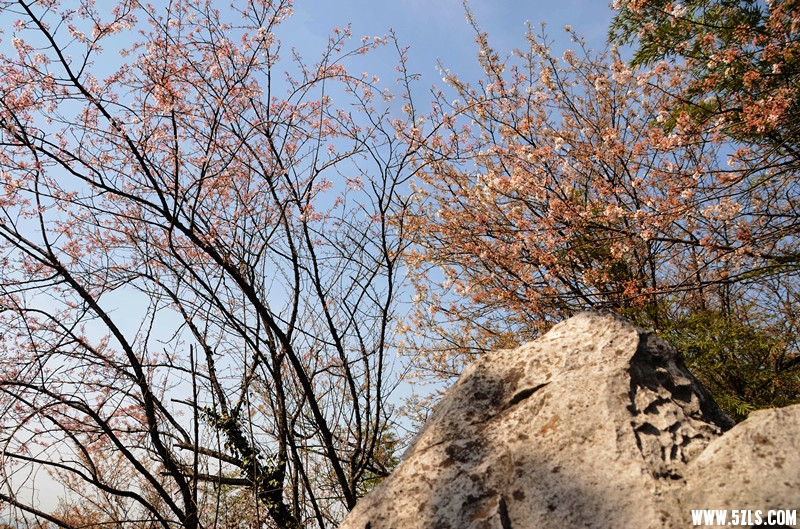 DSC_8297_����_����.jpg