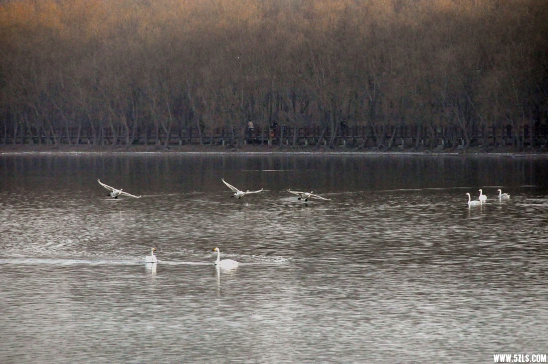 DSC_0313_����.jpg