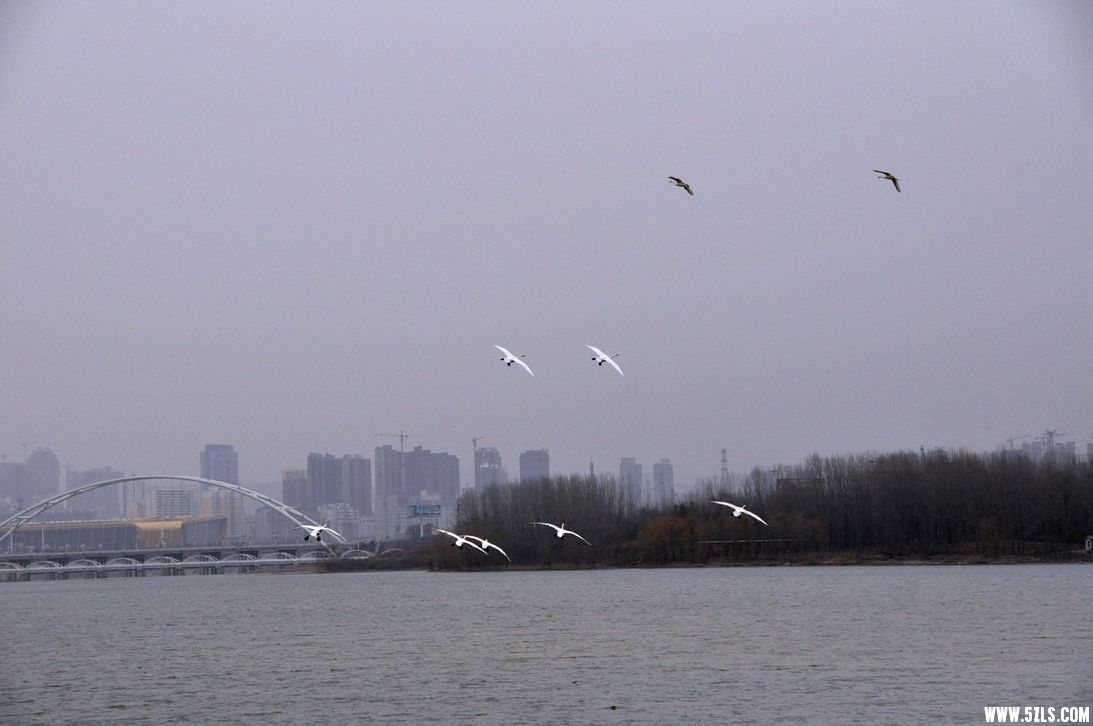 DSC_0095_����.jpg