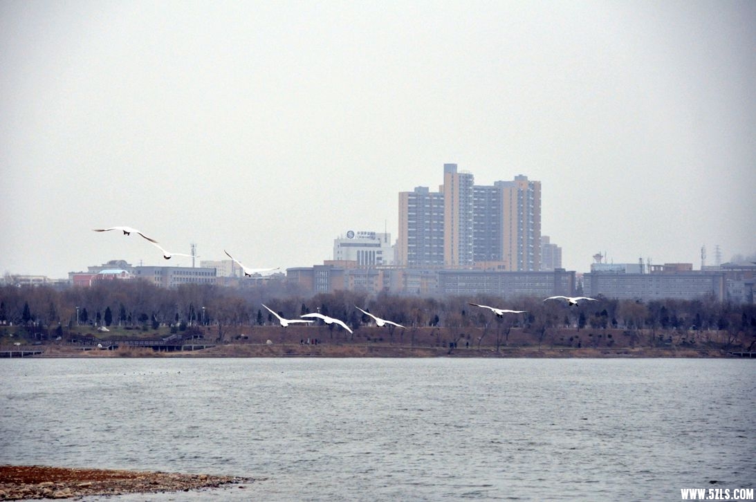 DSC_0118_����.jpg