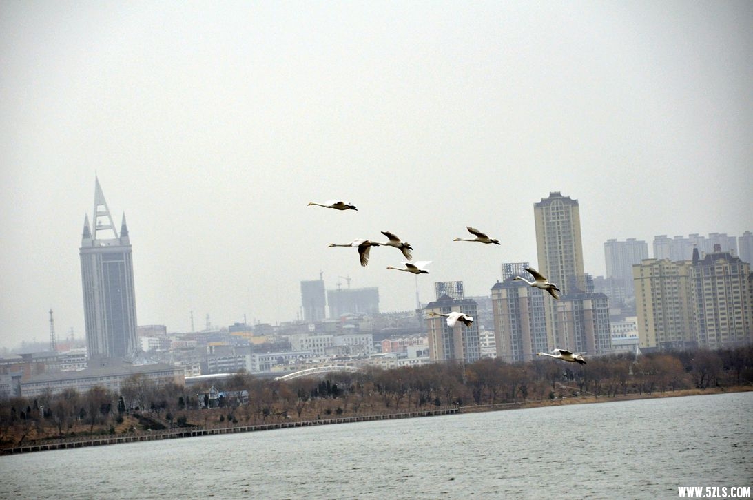 DSC_0116_����.jpg