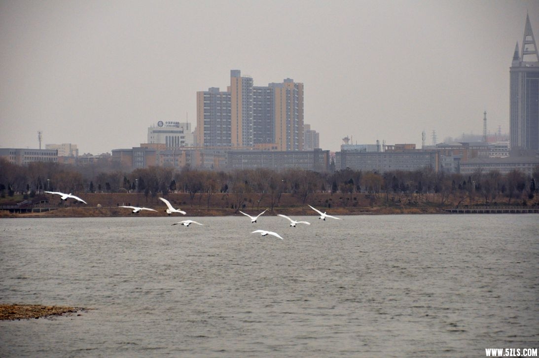 DSC_0119_����.jpg