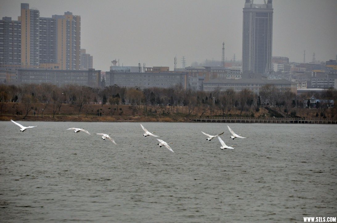 DSC_0120_����.jpg