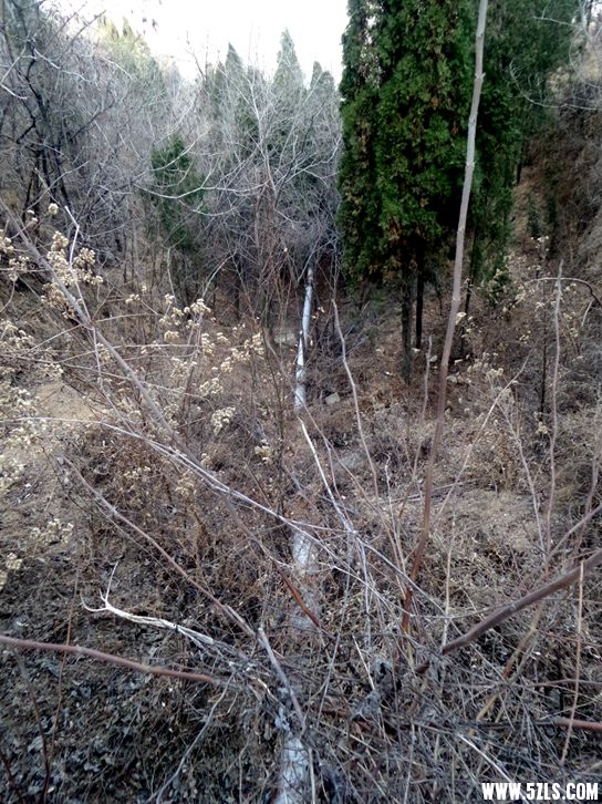 20160224_092241_����.jpg