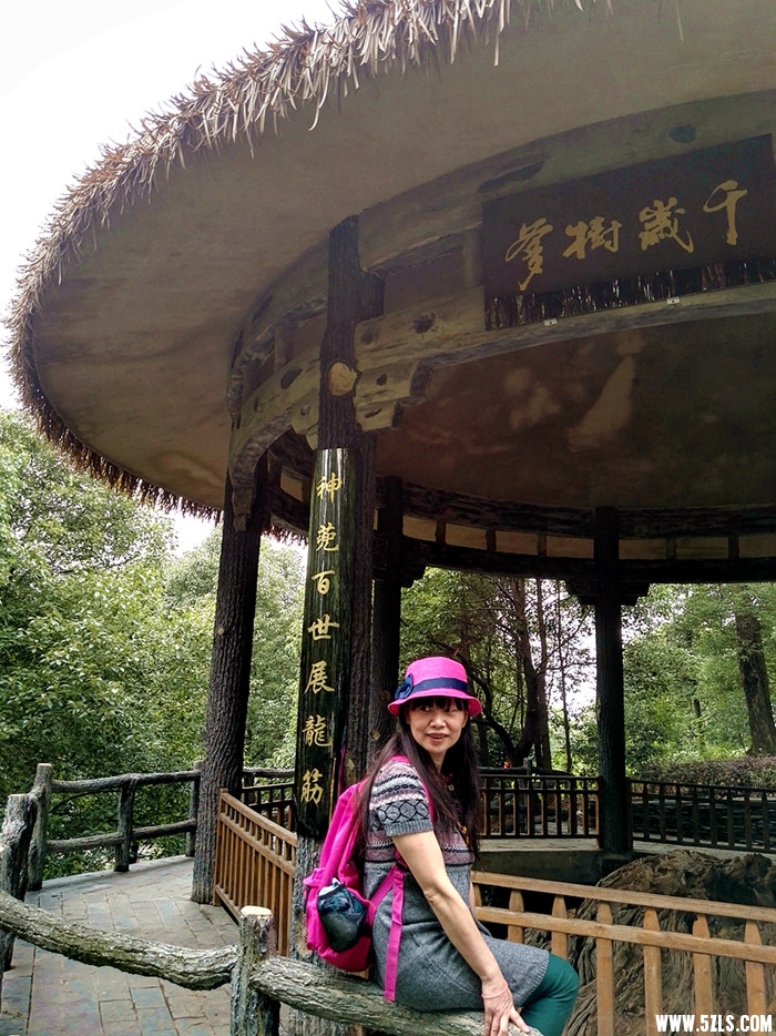 IMG_20160522_161450.jpg