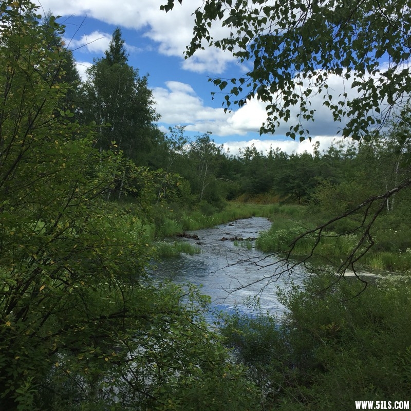 185102y6ng1jnjgdzjj609.jpg