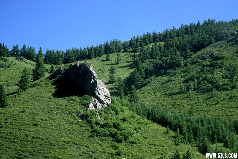_DSC9328.JPG