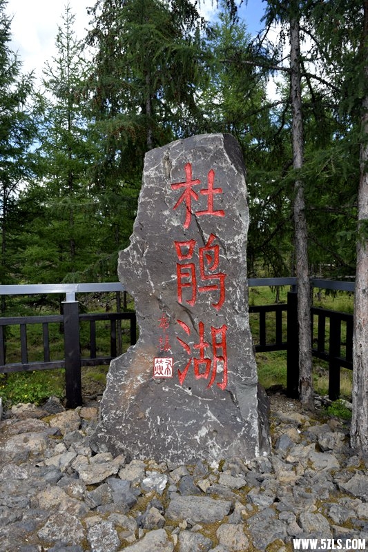 _DSC9401.JPG