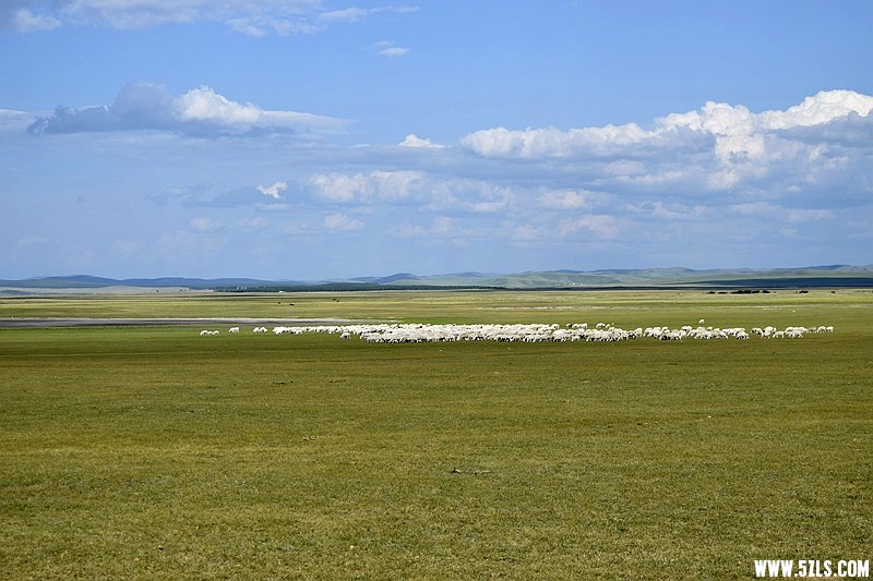 _DSC9744.JPG