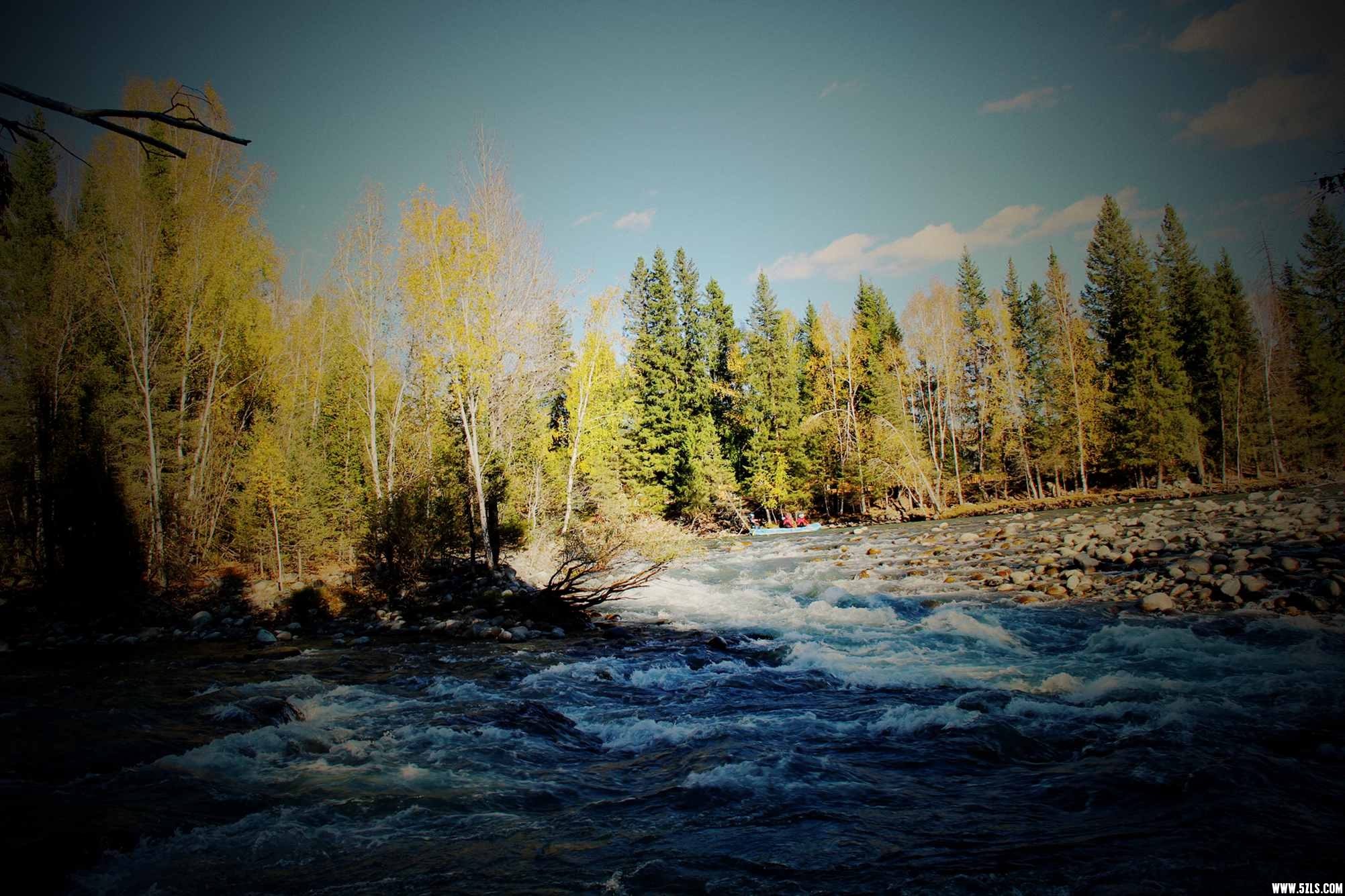 �������� 915.jpg