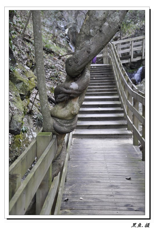 ����.��Ͽ�羰 (53)_��Ŀѹ��.jpg