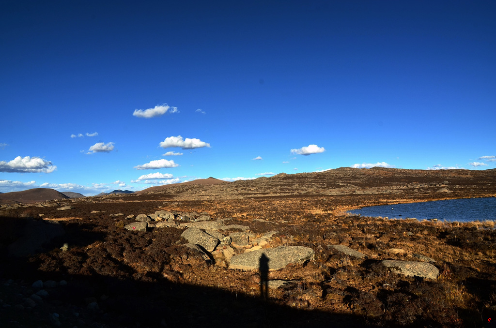 dsc_1016.jpg