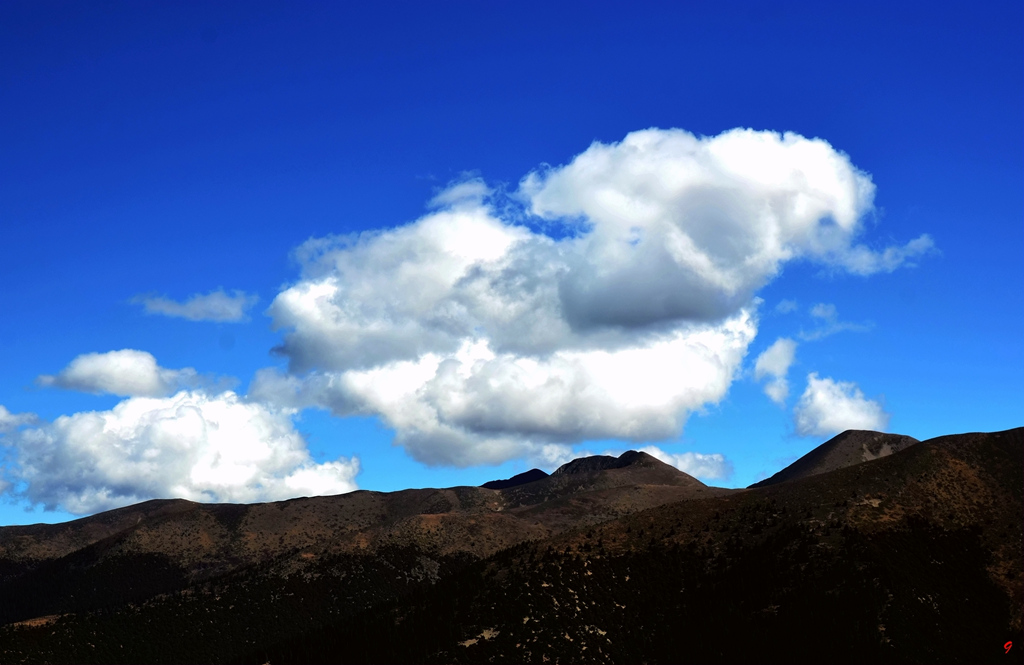 dsc_0936.jpg