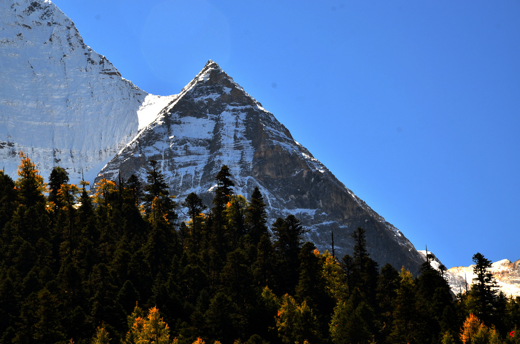 dsc_1105.jpg
