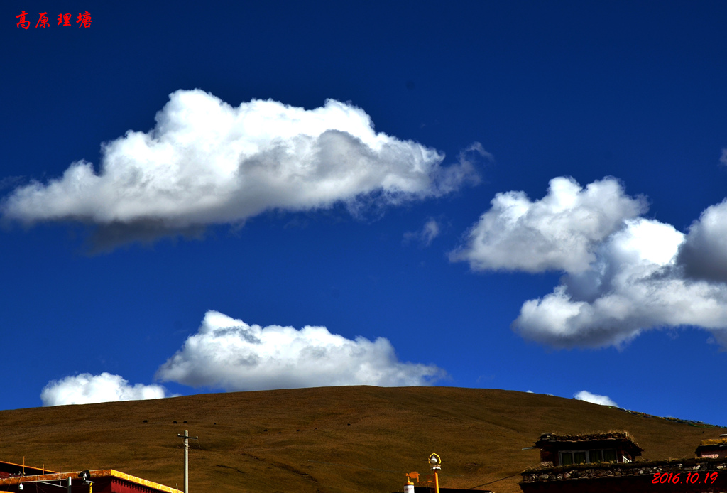 dsc_0954.jpg