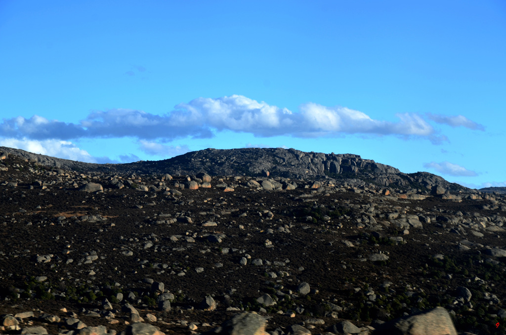 dsc_1021.jpg