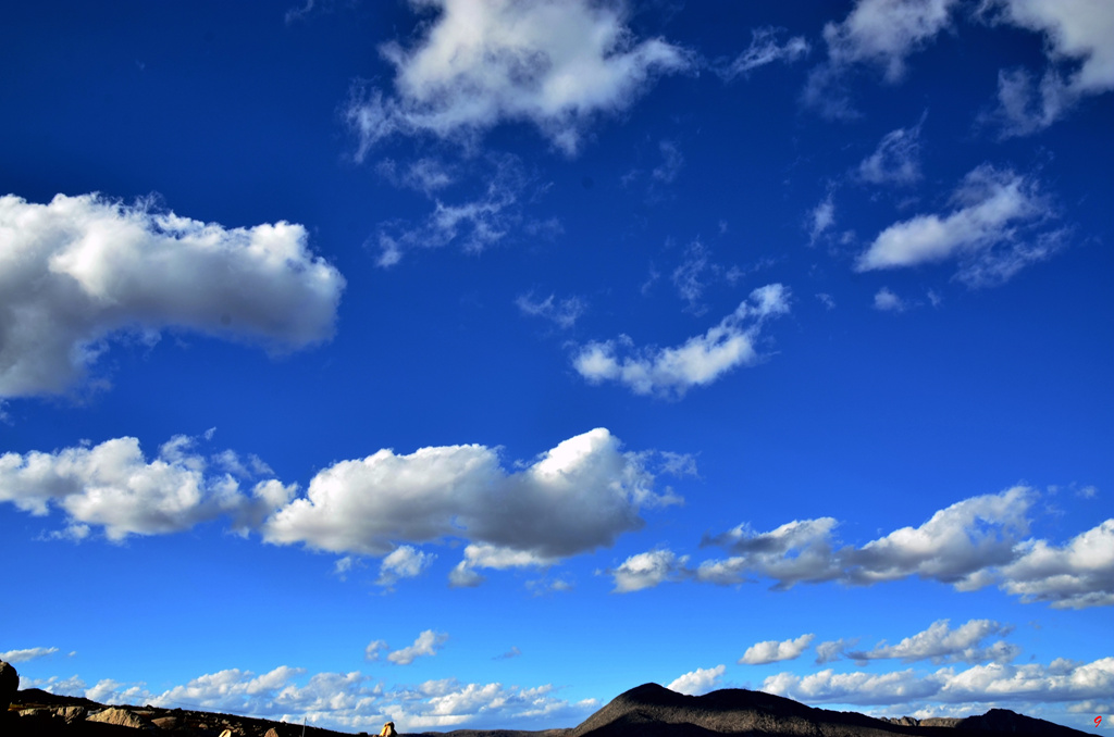 dsc_0993.jpg