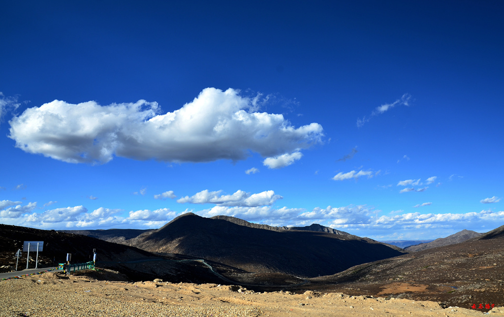 dsc_0972.jpg