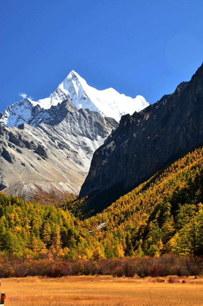 dsc_1174.jpg