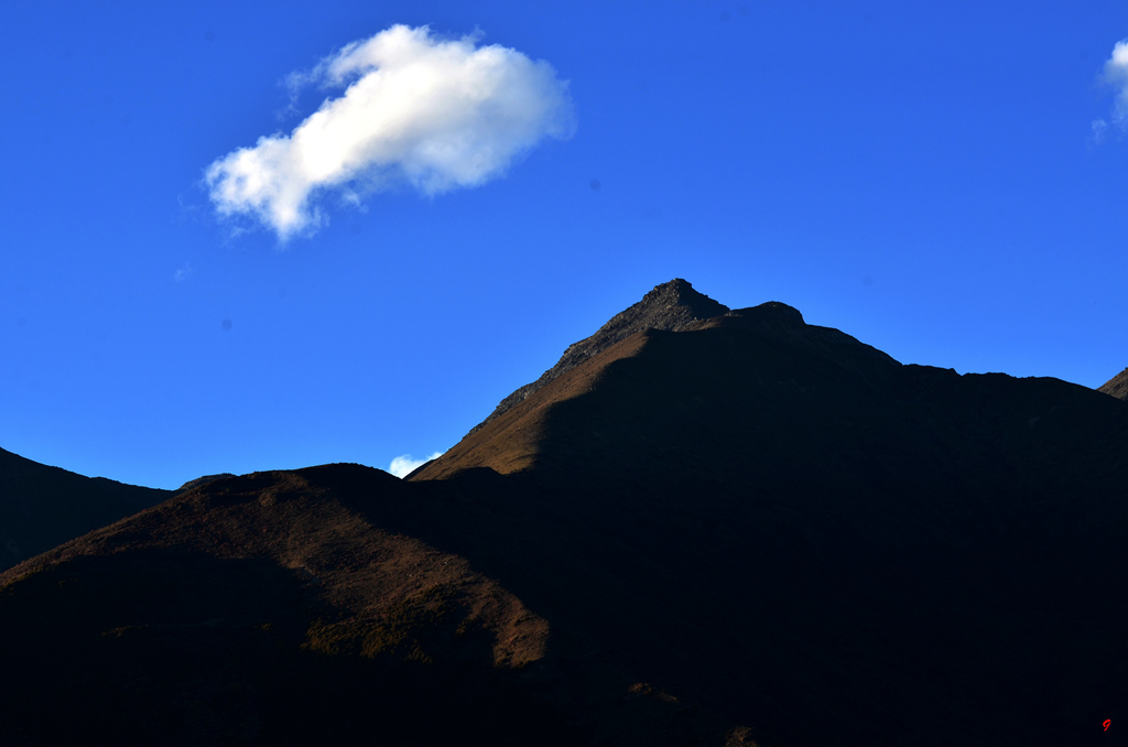 dsc_2696.jpg