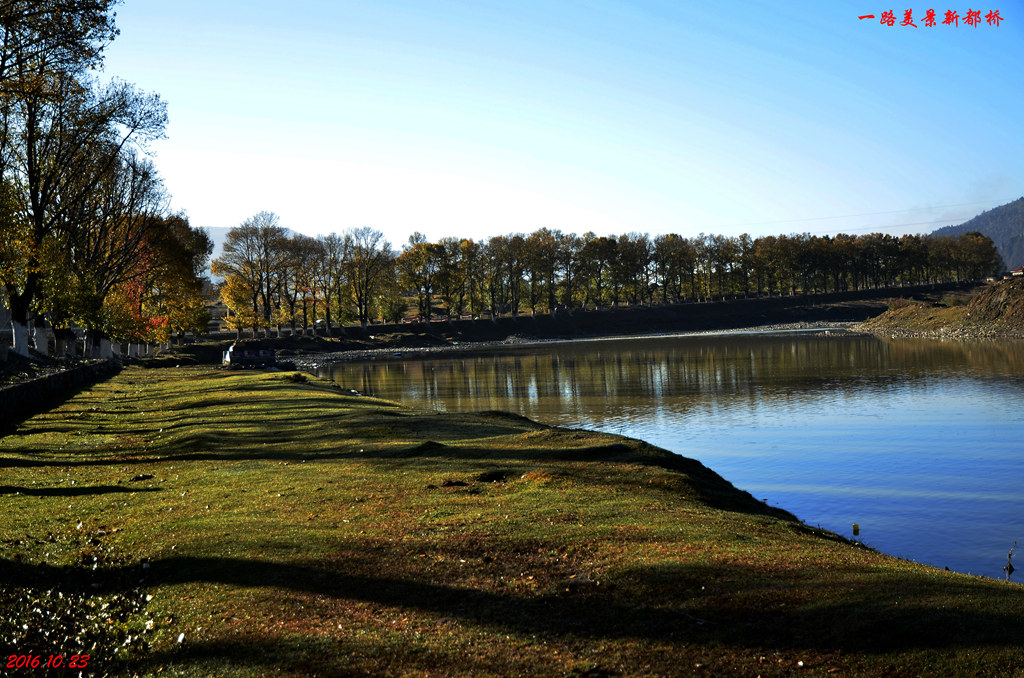 dsc_1822.jpg