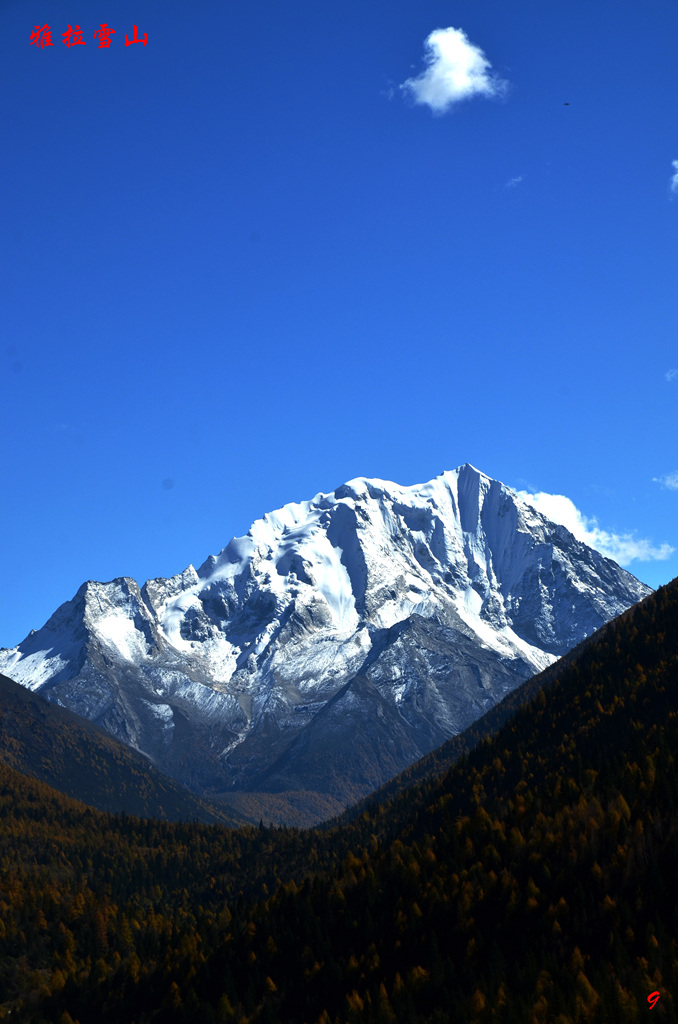 dsc_1990.jpg