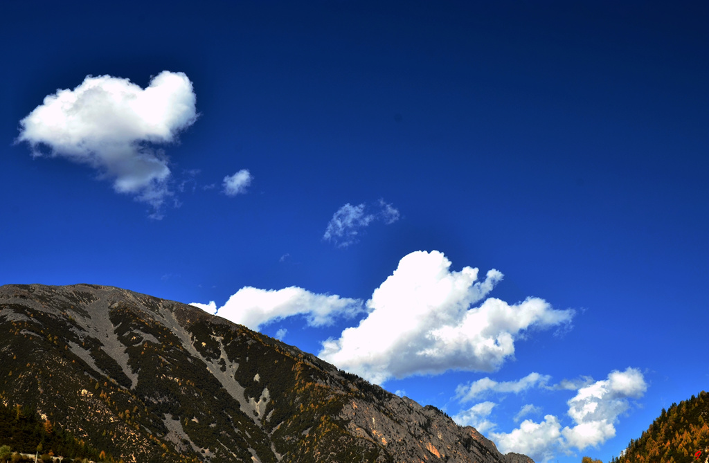 dsc_1968.jpg