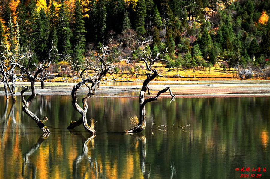 dsc_2341.jpg